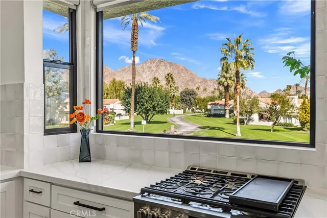 a kitchen with a stove and a potted plant