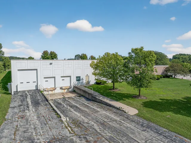 a backyard of a house with plants and large trees