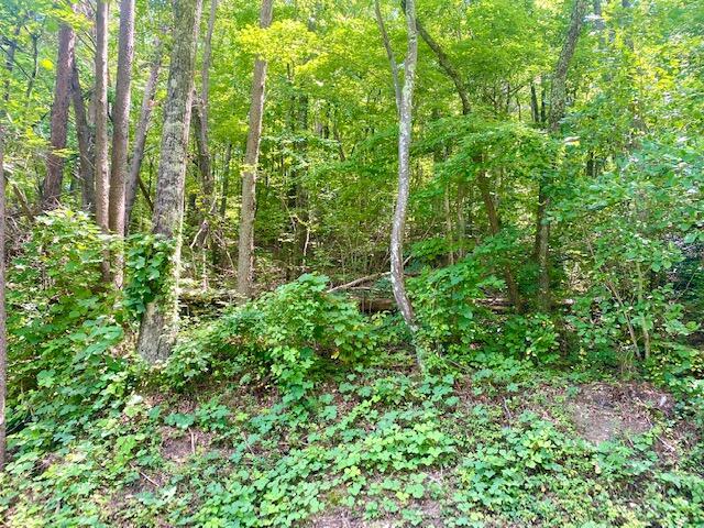 11044 Loop Road Soddy Daisy, TN 37379 - Photo 1 of 6 IMG_7148