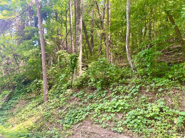 11044 Loop Road Soddy Daisy, TN 37379 - Photo 2 of 6 IMG_7149