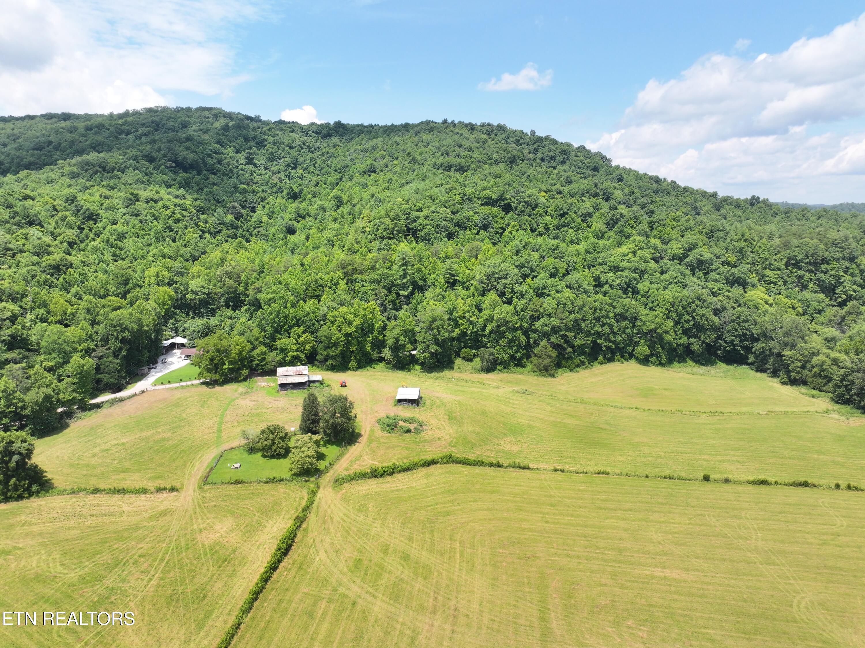 7914 Brimstone Road Robbins, TN 37852 - Photo 44 of 57 dji_fly_20260709_094304_0856_17836841023