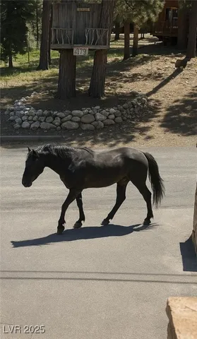 $1,488,000 | 4178 Matterhorn Way, Mount Charleston, NV 89124