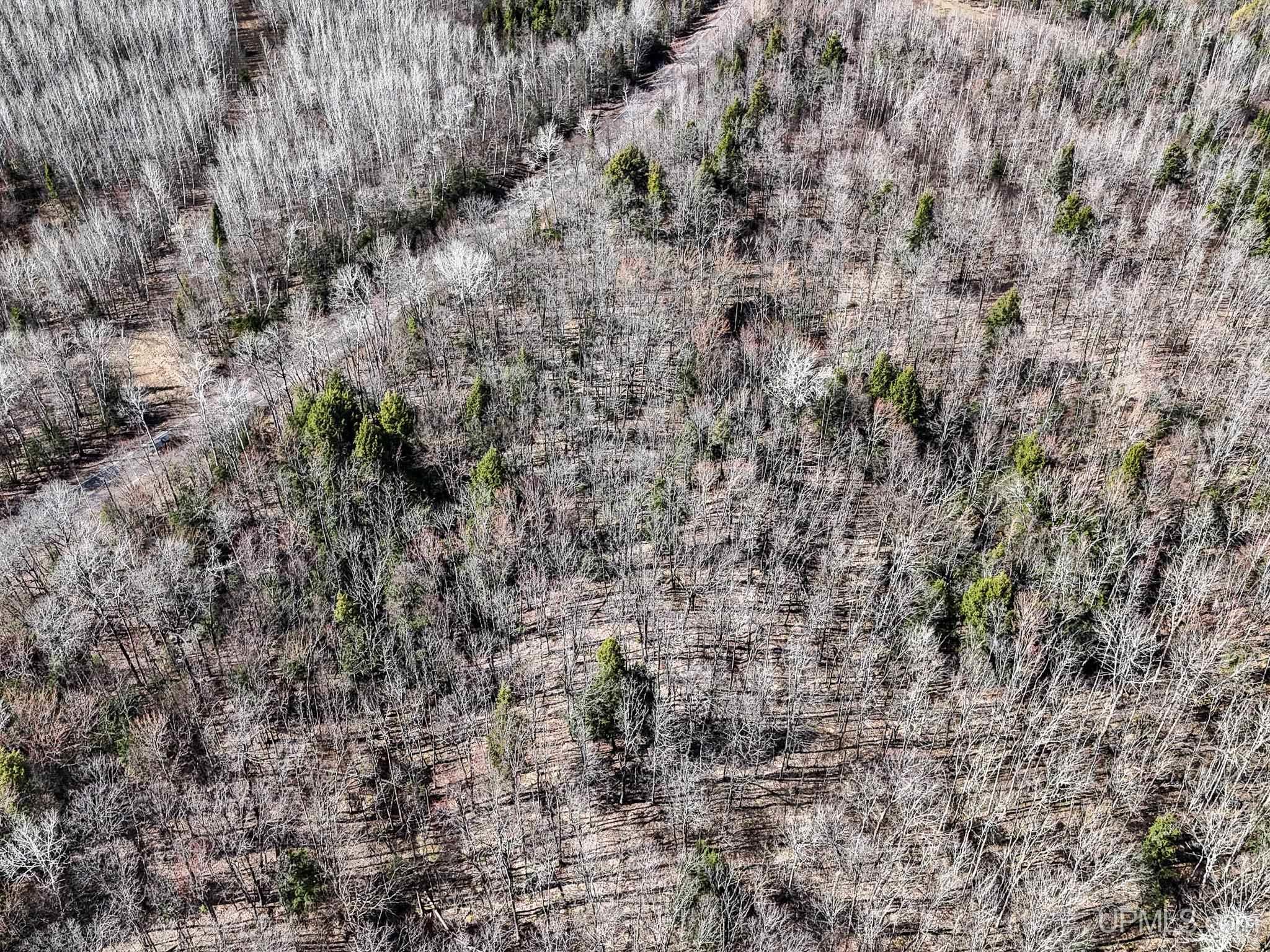 On On Chaney Lake Road Wakefield, MI 49968 - Photo 6 of 10