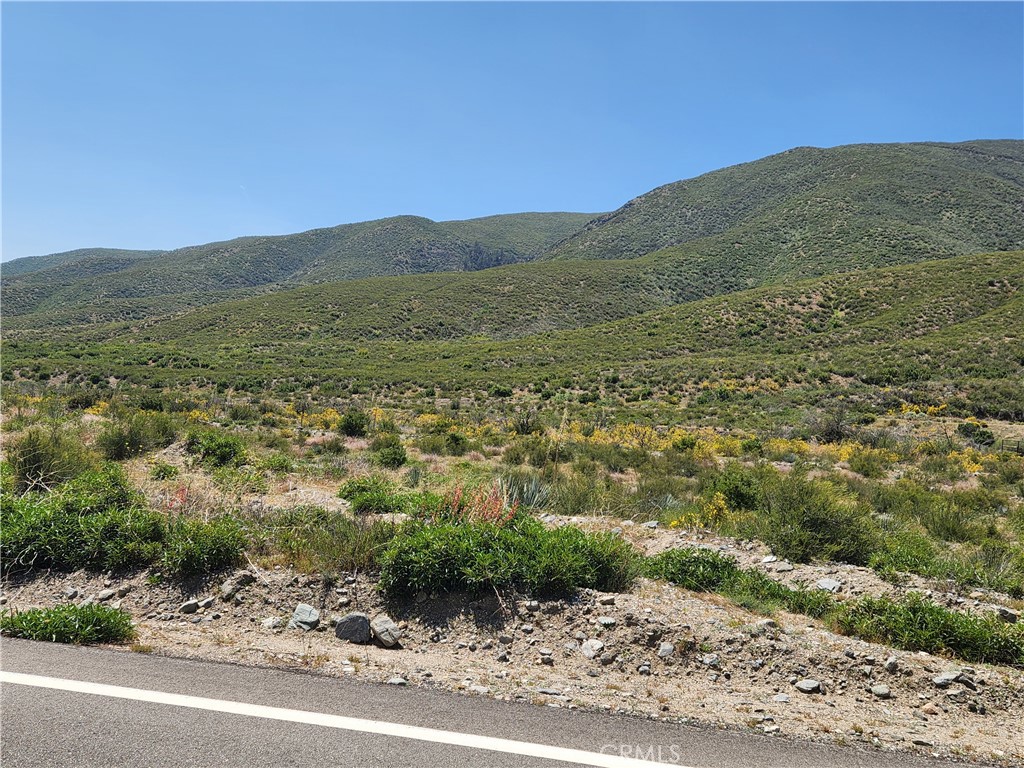 6201 Lone Pine Canyon Road Phelan, CA 92371 - Photo 3 of 5 a view of a mountain with a garden