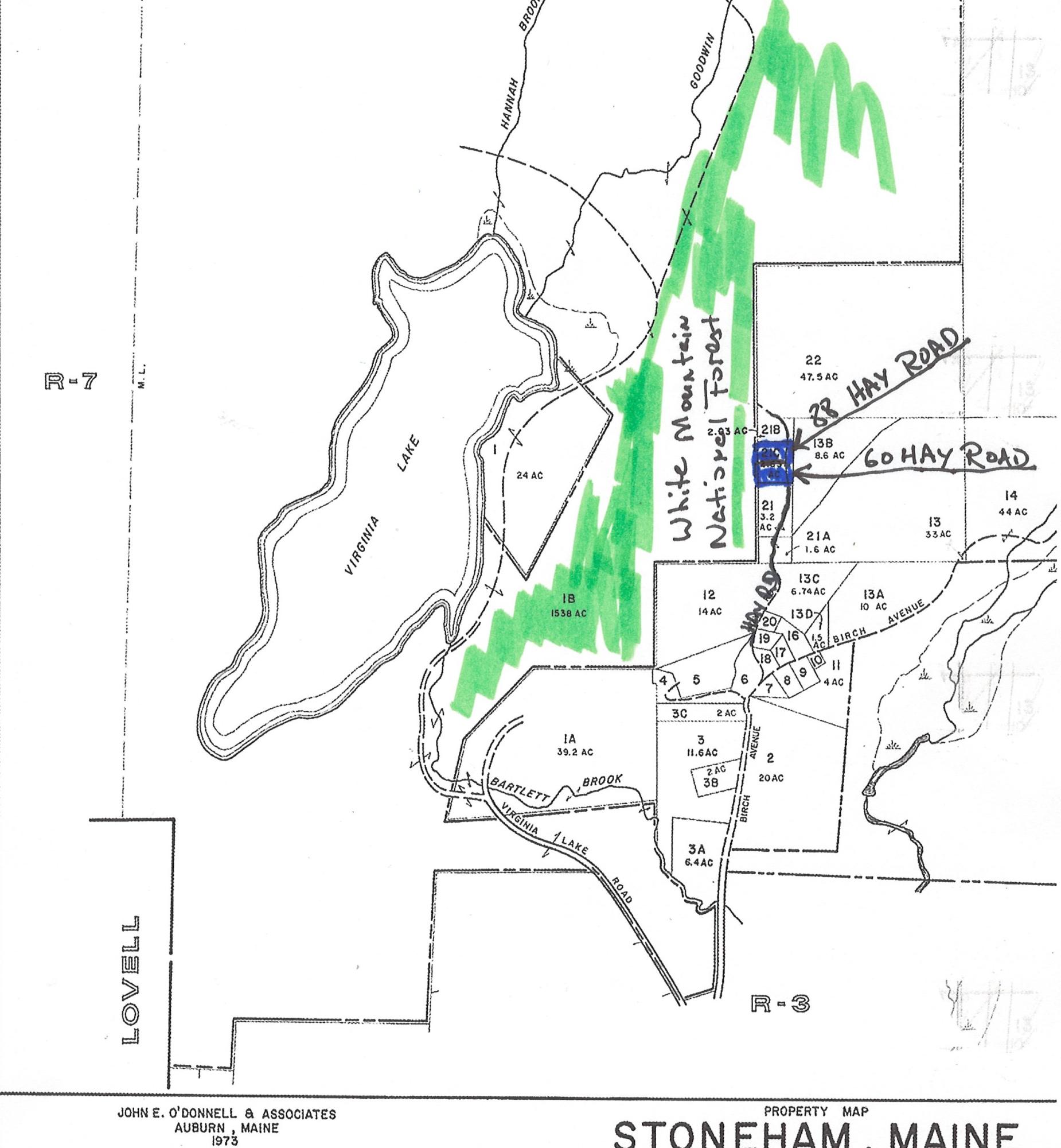 60 Hay Road Stoneham, ME 04231 - Photo 2 of 6 Madore 60 & 88 Hay Road Tax Map_0001 (2)
