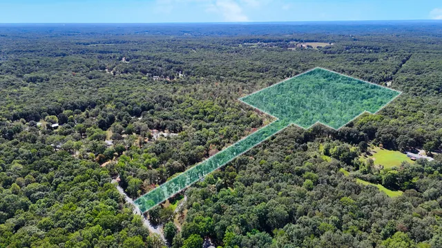 a view of a lush green forest with trees and houses