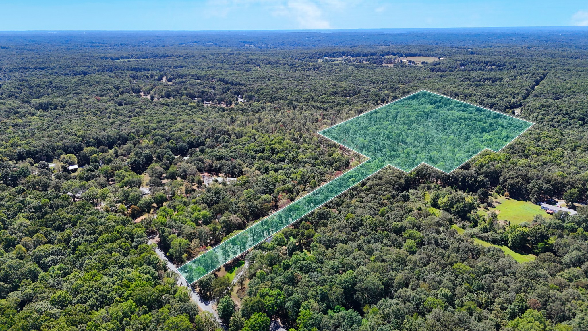 a view of a lush green forest with trees and houses