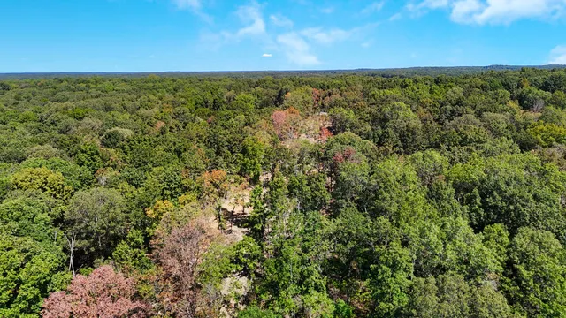 a view of a city with an ocean