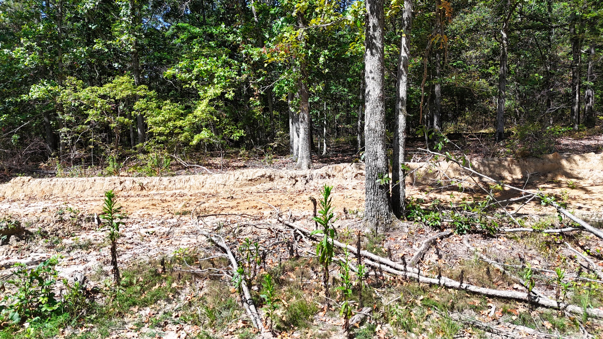 0 Oak Springs Road Nunnelly, TN 37137 - Photo 15 of 27