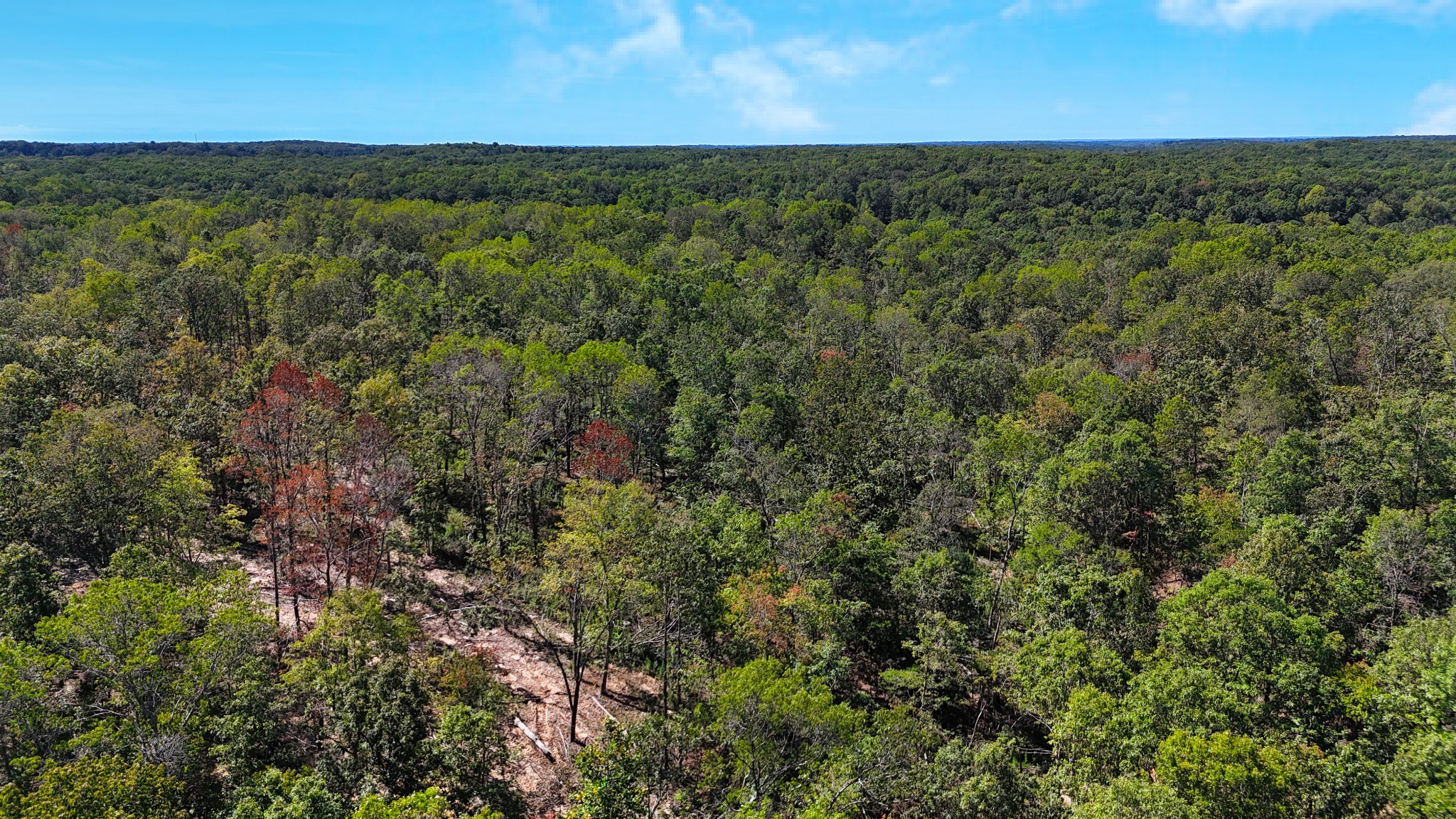 0 Oak Springs Road Nunnelly, TN 37137 - Photo 15 of 24 a view of a field with an ocean