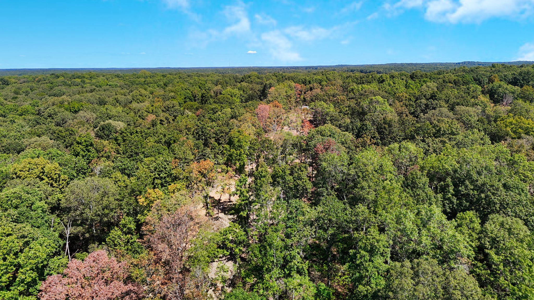 0 Oak Springs Road Nunnelly, TN 37137 - Photo 17 of 27