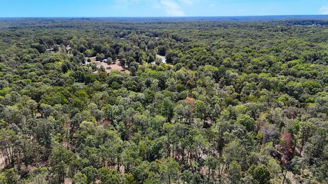 a view of a city with lush green forest