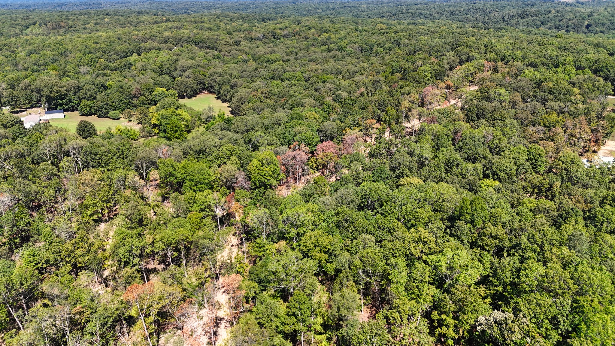 0 Oak Springs Road Nunnelly, TN 37137 - Photo 19 of 24 a view of a bunch of trees and bushes