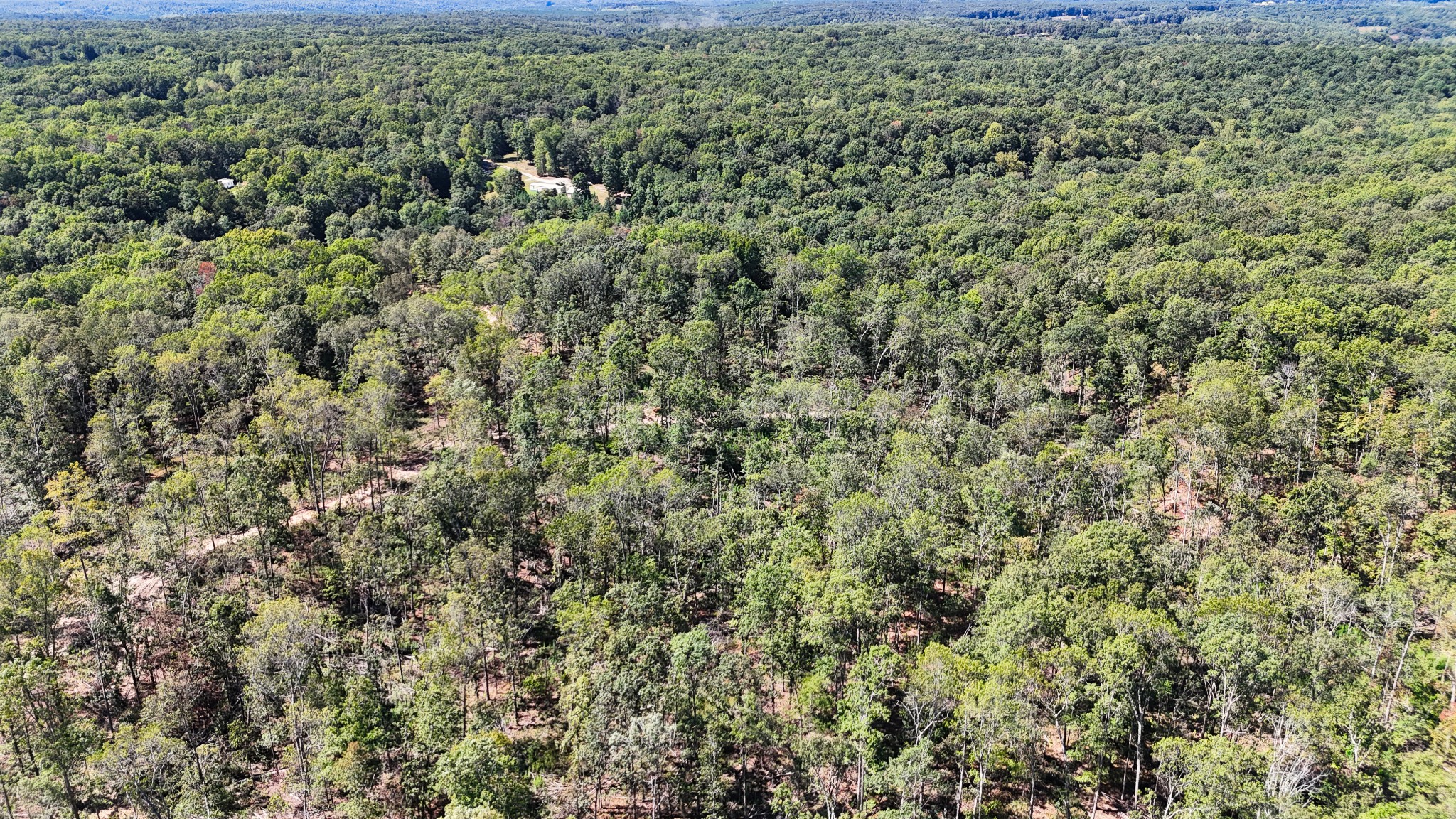 0 Oak Springs Road Nunnelly, TN 37137 - Photo 21 of 27