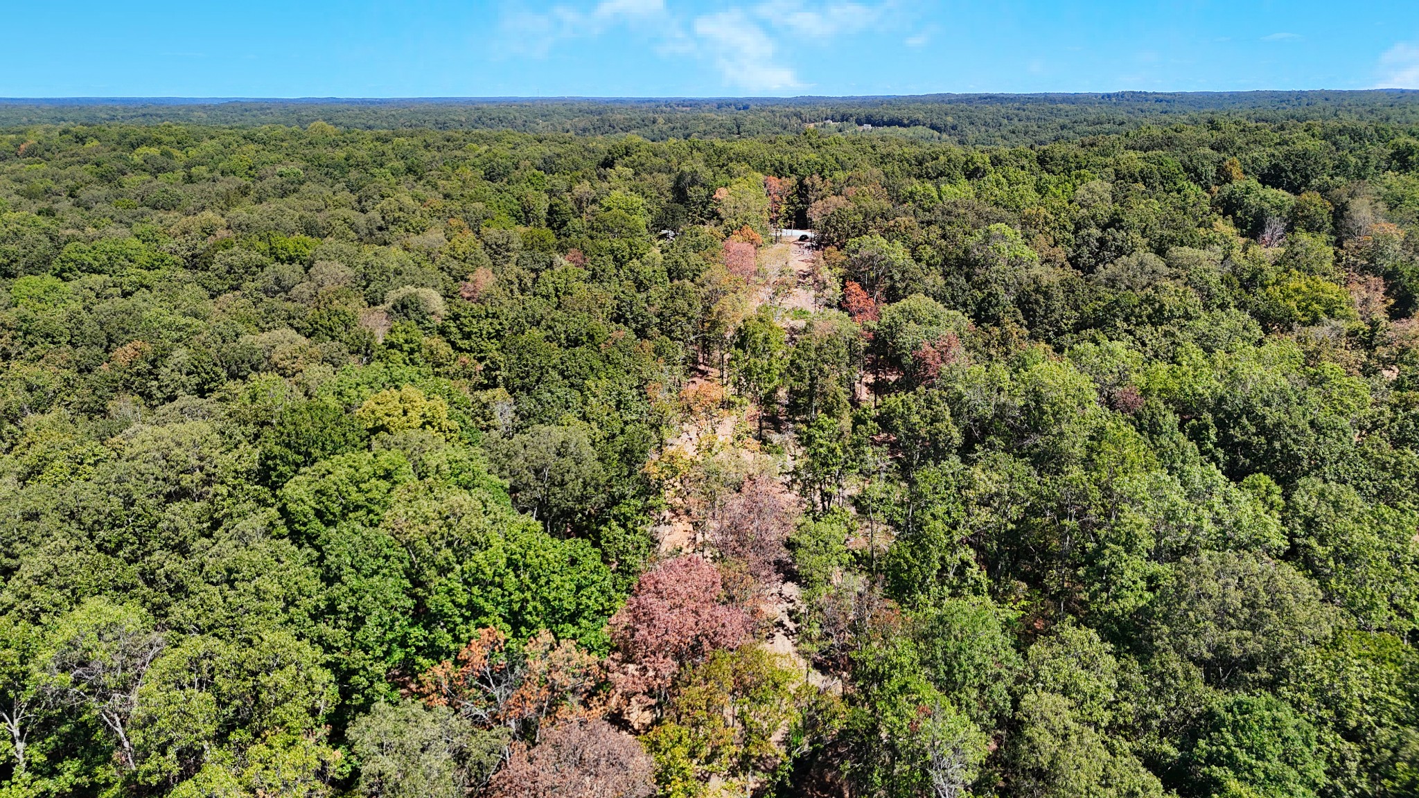 0 Oak Springs Road Nunnelly, TN 37137 - Photo 26 of 27