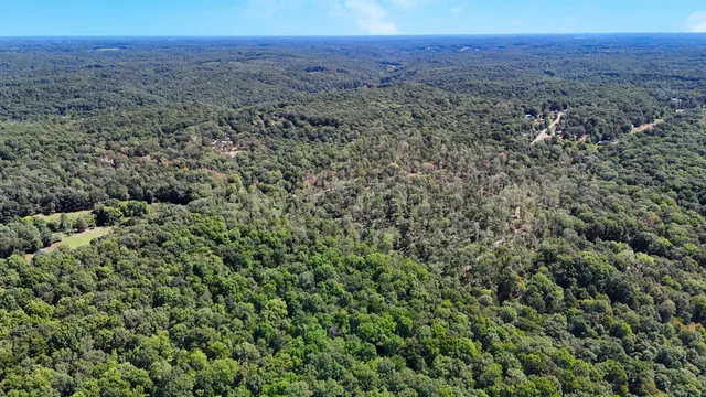 a view of a dry yard with and trees