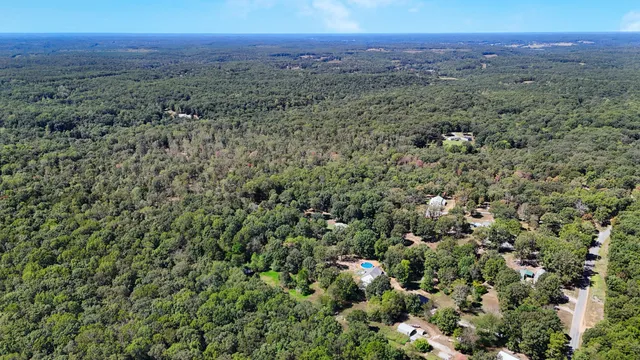 a view of a city with lush green forest