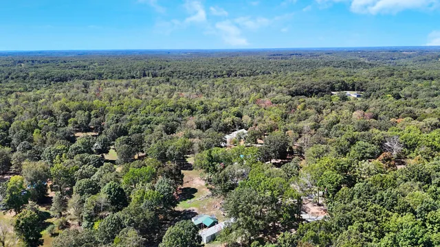 a view of a city with lush green forest