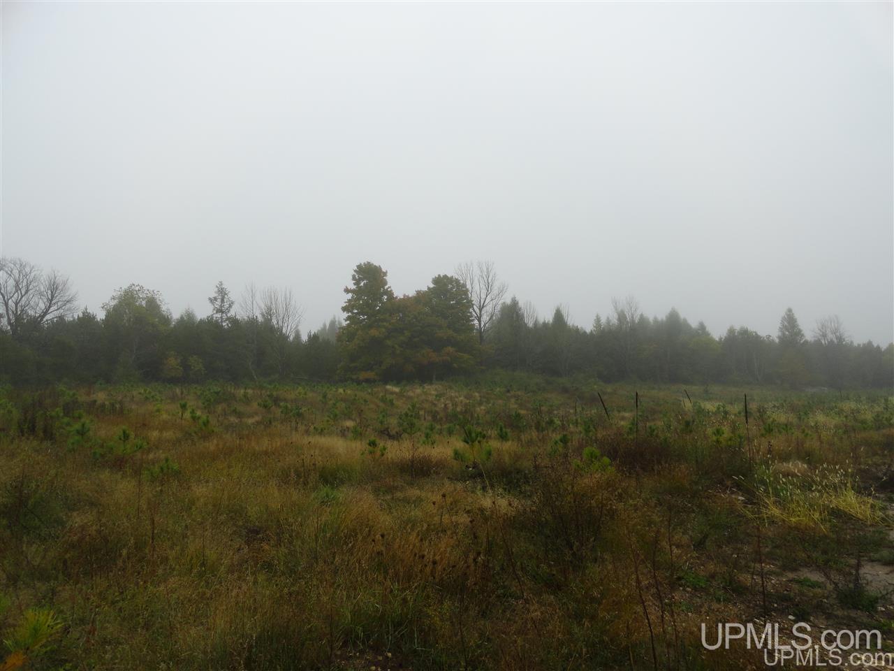 40-acres Davidson Road Manistique, MI 49854 - Photo 27 of 30 Gallery Image 27