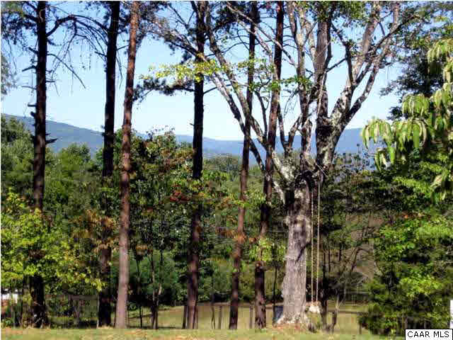 911 Tilman Road Charlottesville, VA 22901 - Photo 5 of 25 a view of a trees with a tree in the background