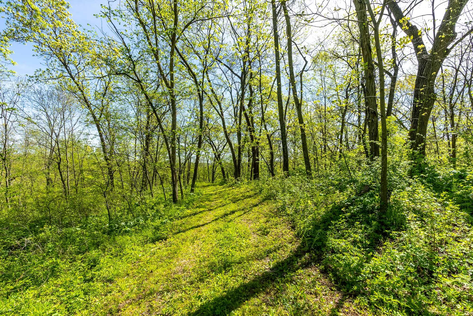 15999 Biba Road Muscoda, WI 53573 - Photo 78 of 103 Grant-County-WI-160-Acres-Land-For-Sale-