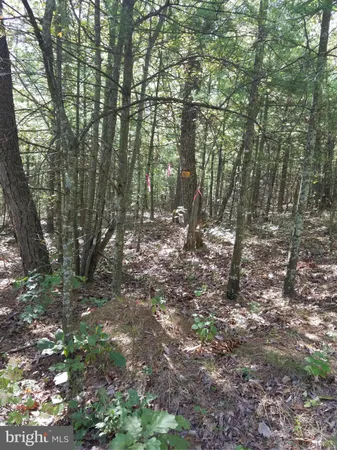 $370,000 | Supin Lick Road, Broadway, VA 22815