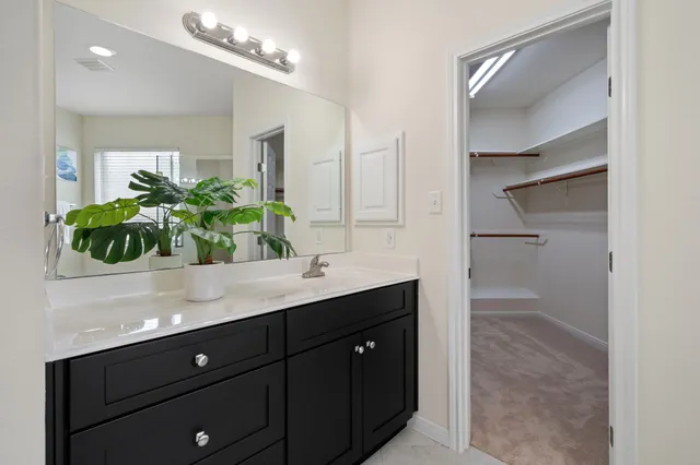 a bathroom with a granite countertop sink a potted plant and a mirror