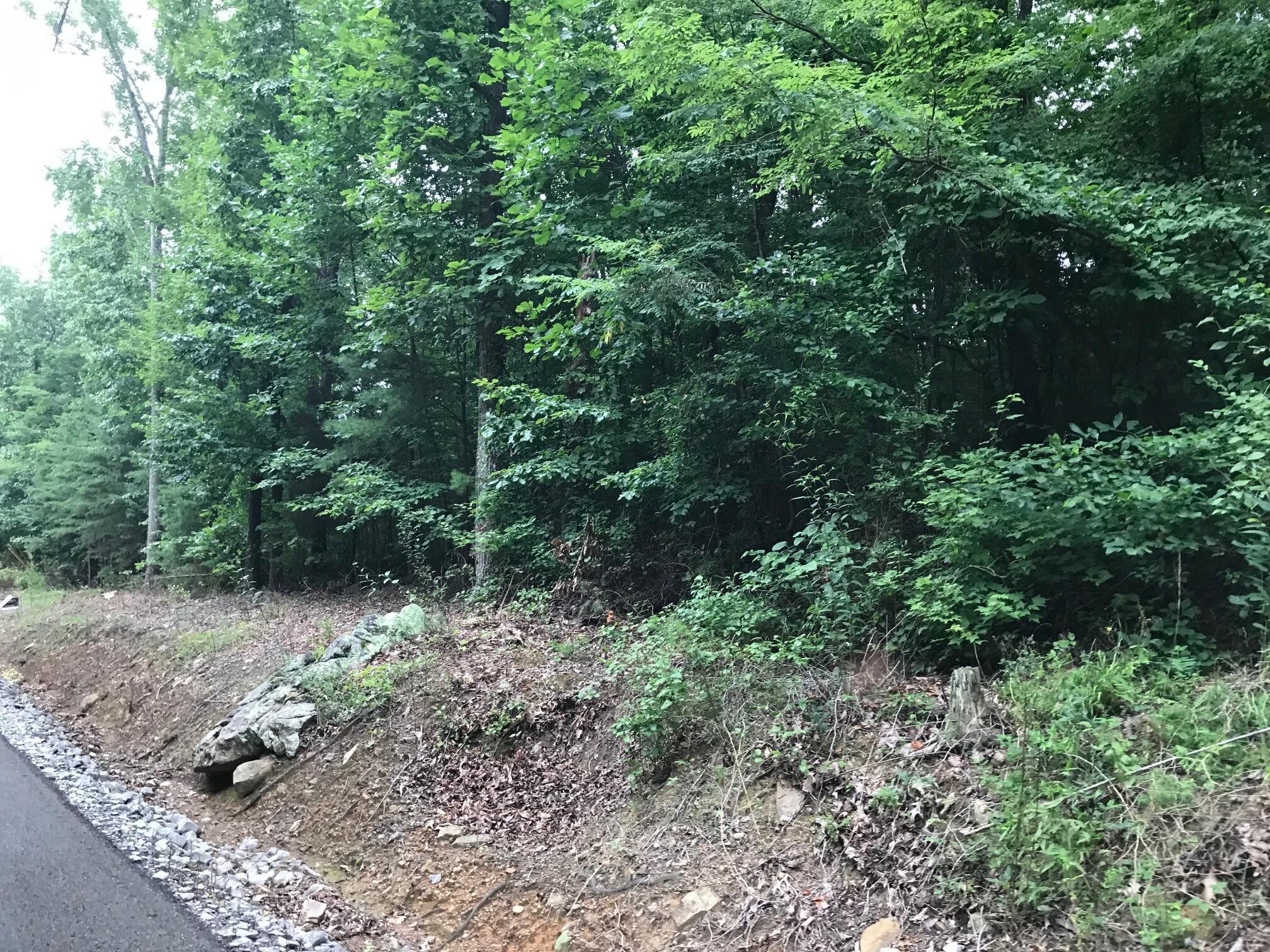 1 Smith Mountain Road Dunlap, TN 37327 - Photo 10 of 15 Gallery Image 10