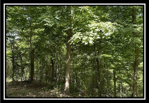 85 Weaver Road, Unit TRACT B) Chillicothe, OH 45601 - Photo 34 of 49 image033