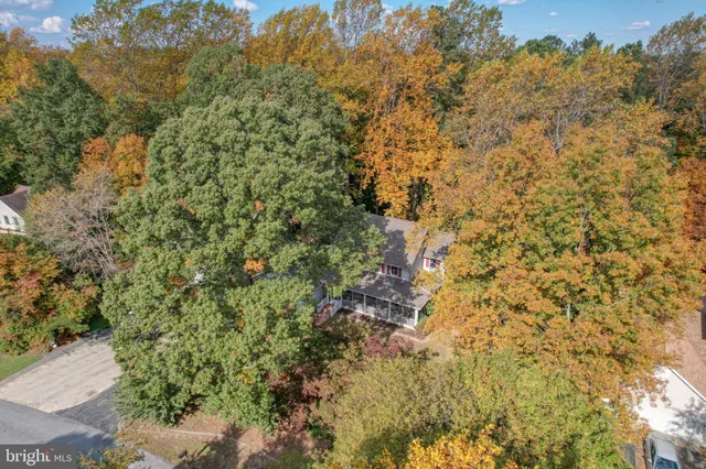 a view of a lake with a mountain in the background