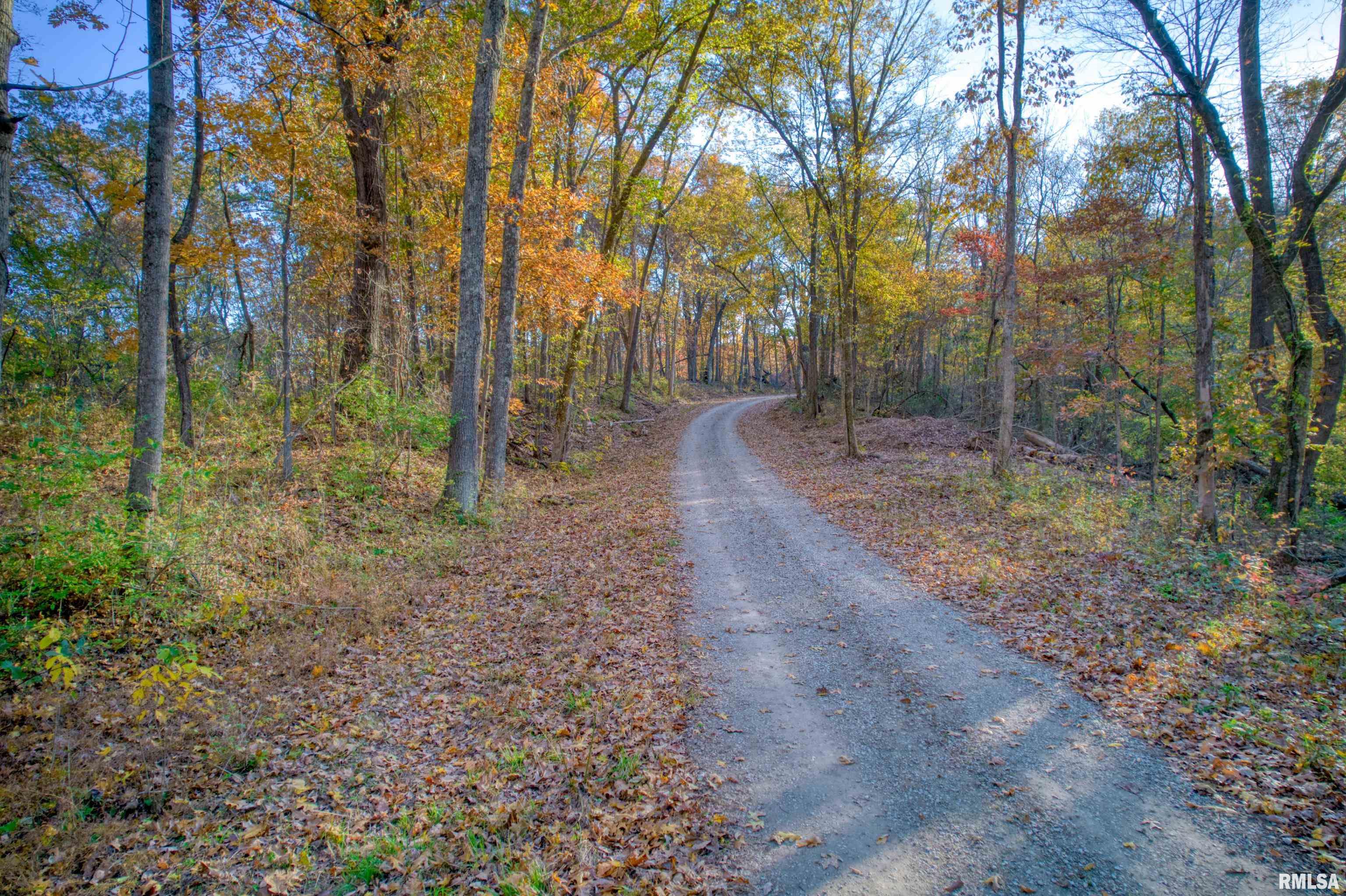 1924 Suchman Road Ava, IL 62907 - Photo 3 of 9
