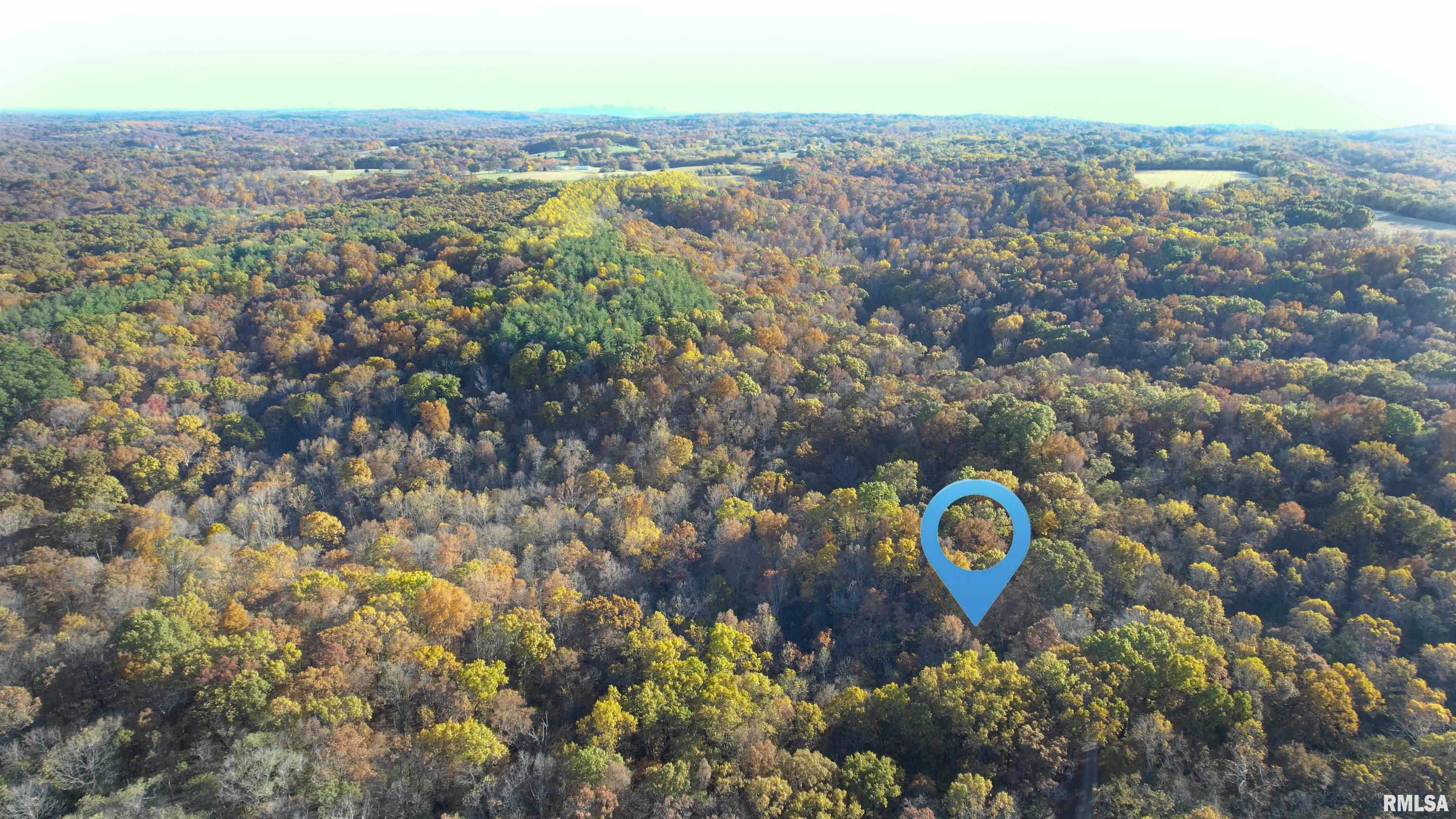 1924 Suchman Road Ava, IL 62907 - Photo 8 of 9