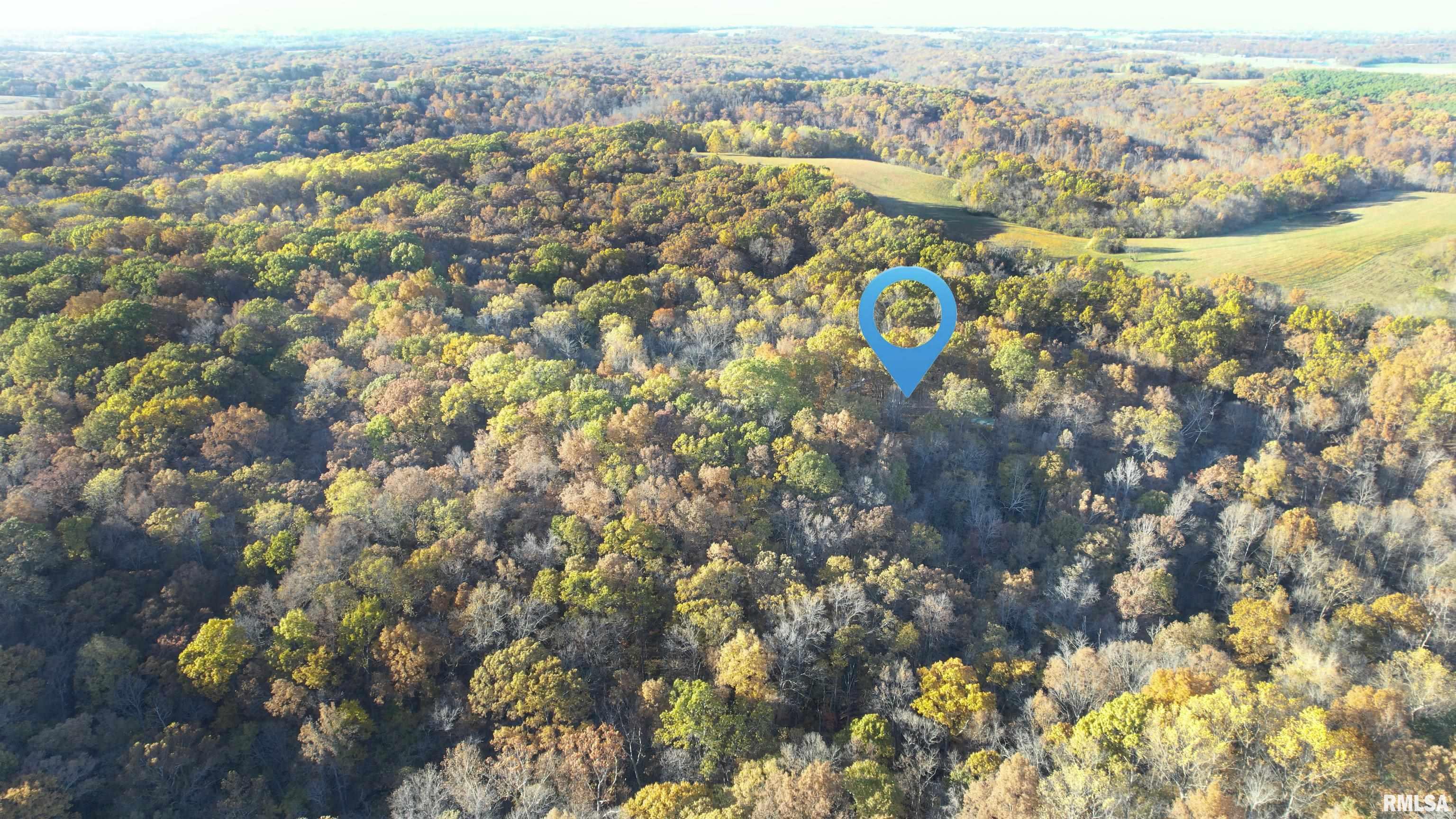 1924 Suchman Road Ava, IL 62907 - Photo 9 of 9