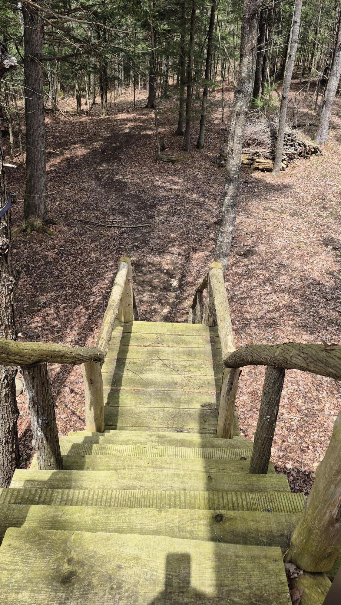 Lot 29 A Hill Road Clinton, ME 04927 - Photo 11 of 27 11 stairs to the cabin