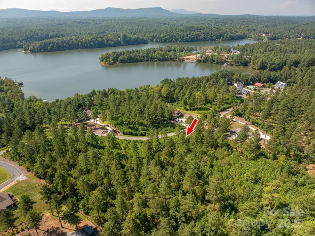 an aerial view of residential houses with outdoor space and river