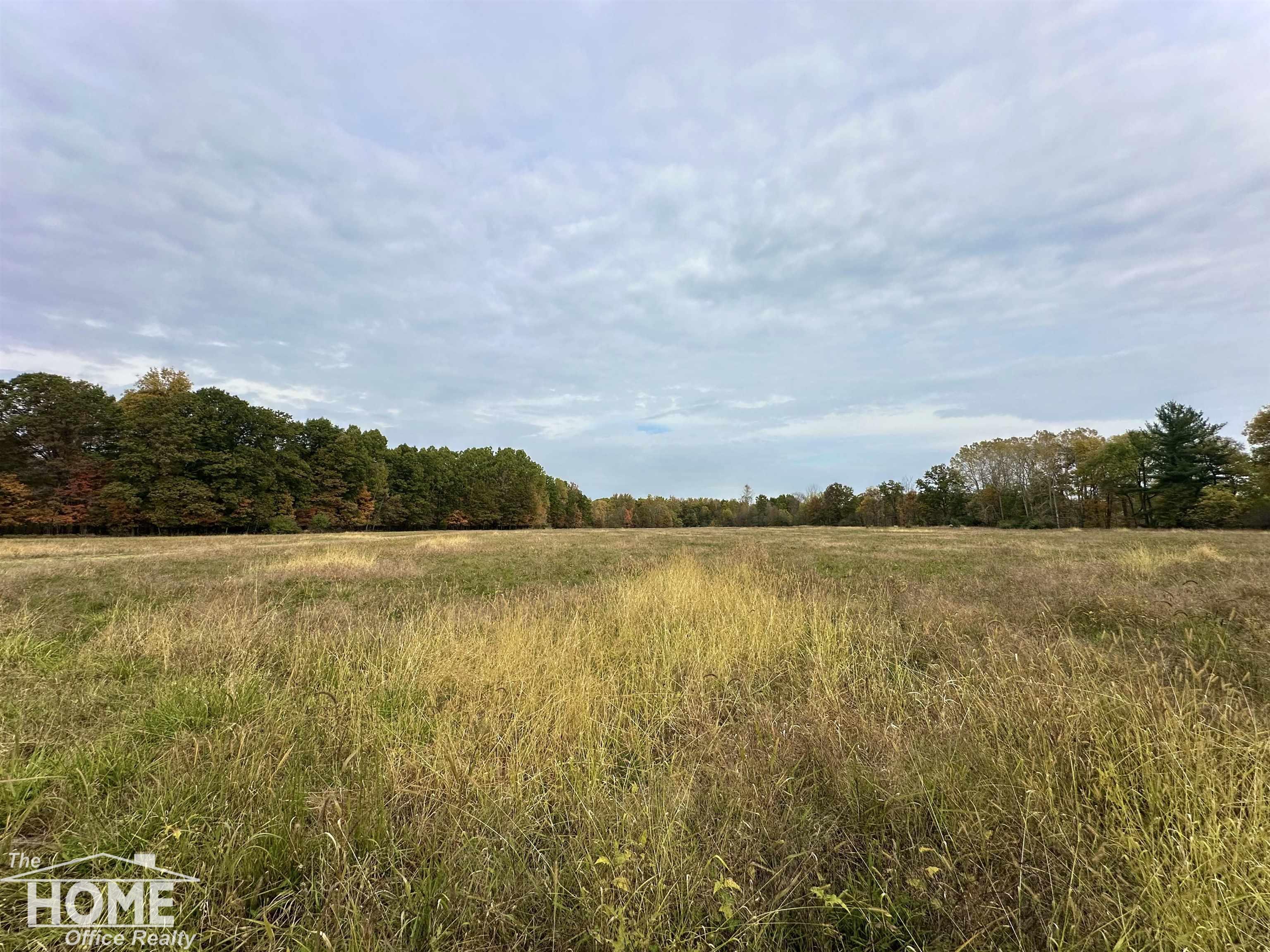 0 Colvin Road St. Charles, MI 48655 - Photo 19 of 23