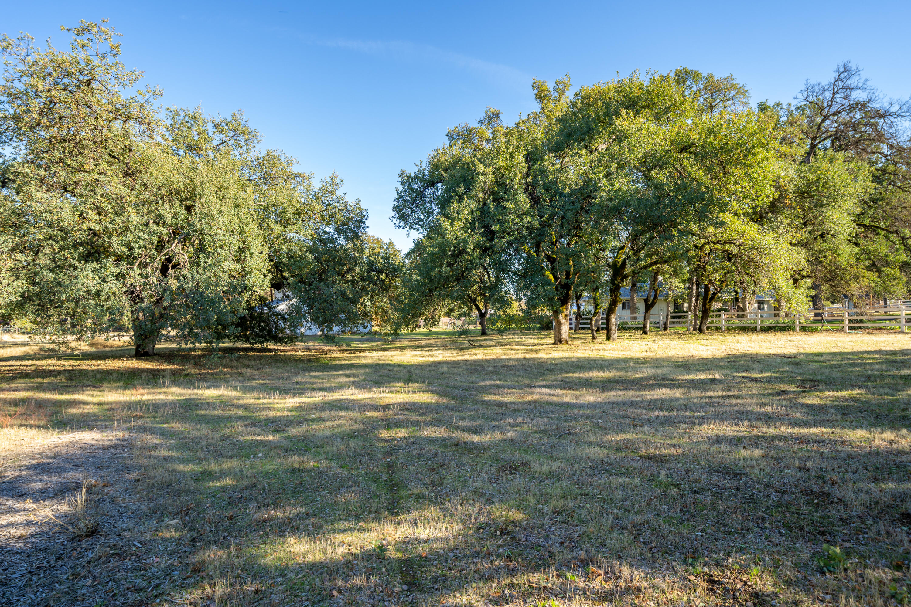 8455 Maynard Road Palo Cedro, CA 96073 - Photo 40 of 58 Room for animals