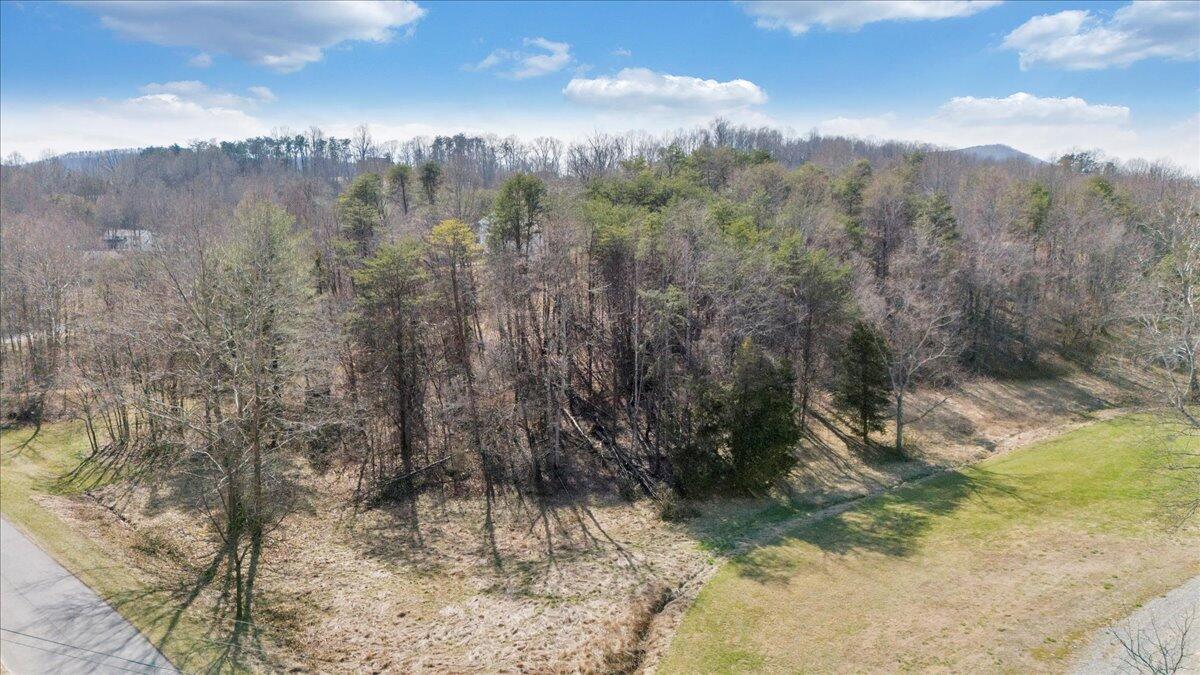 0 Woodridge Road Troutville, VA 24175 - Photo 7 of 25 a view of a yard with a tree