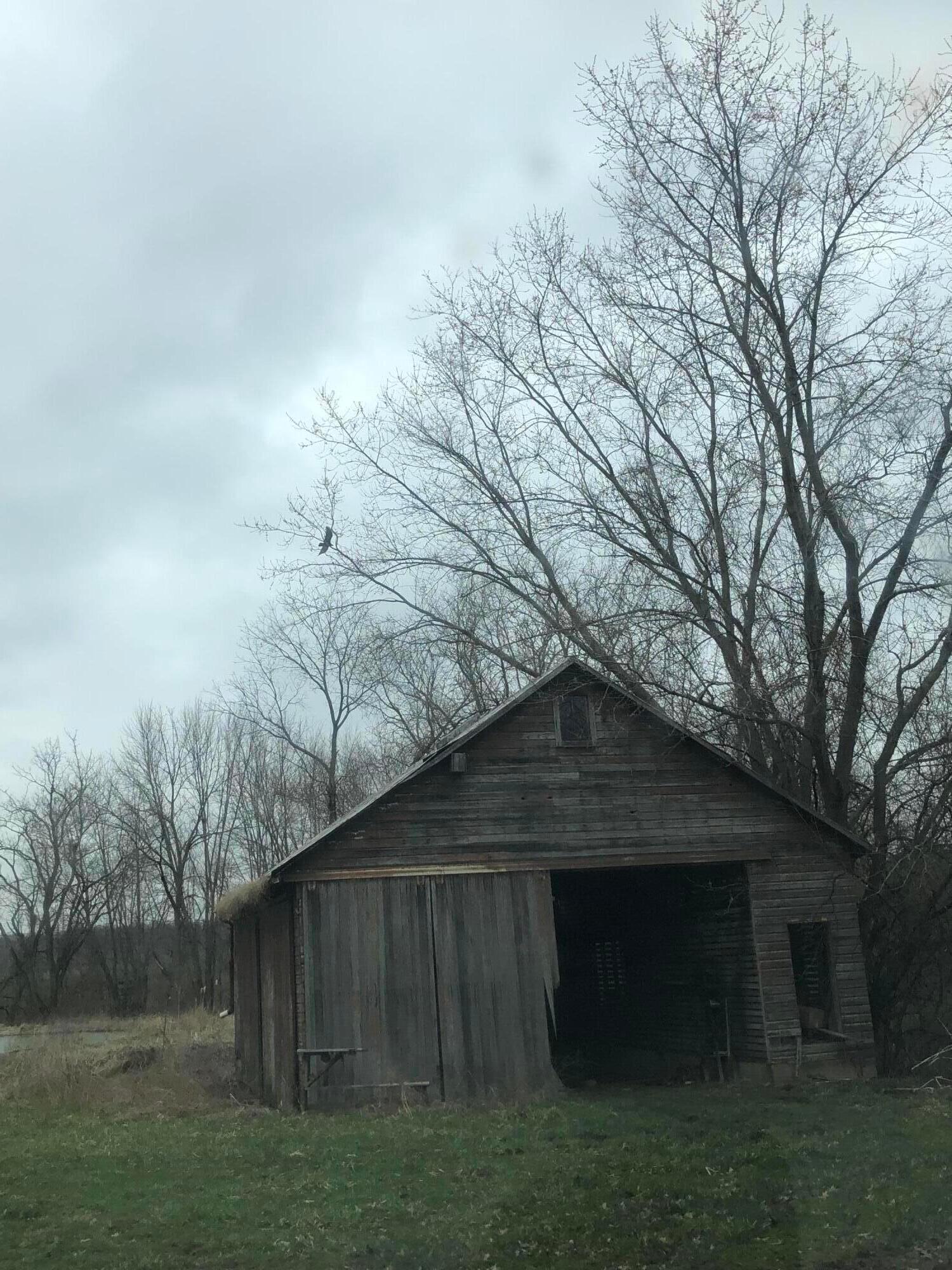 8500 McKitrick Road Plain City, OH 43064 - Photo 7 of 8 Barn 2