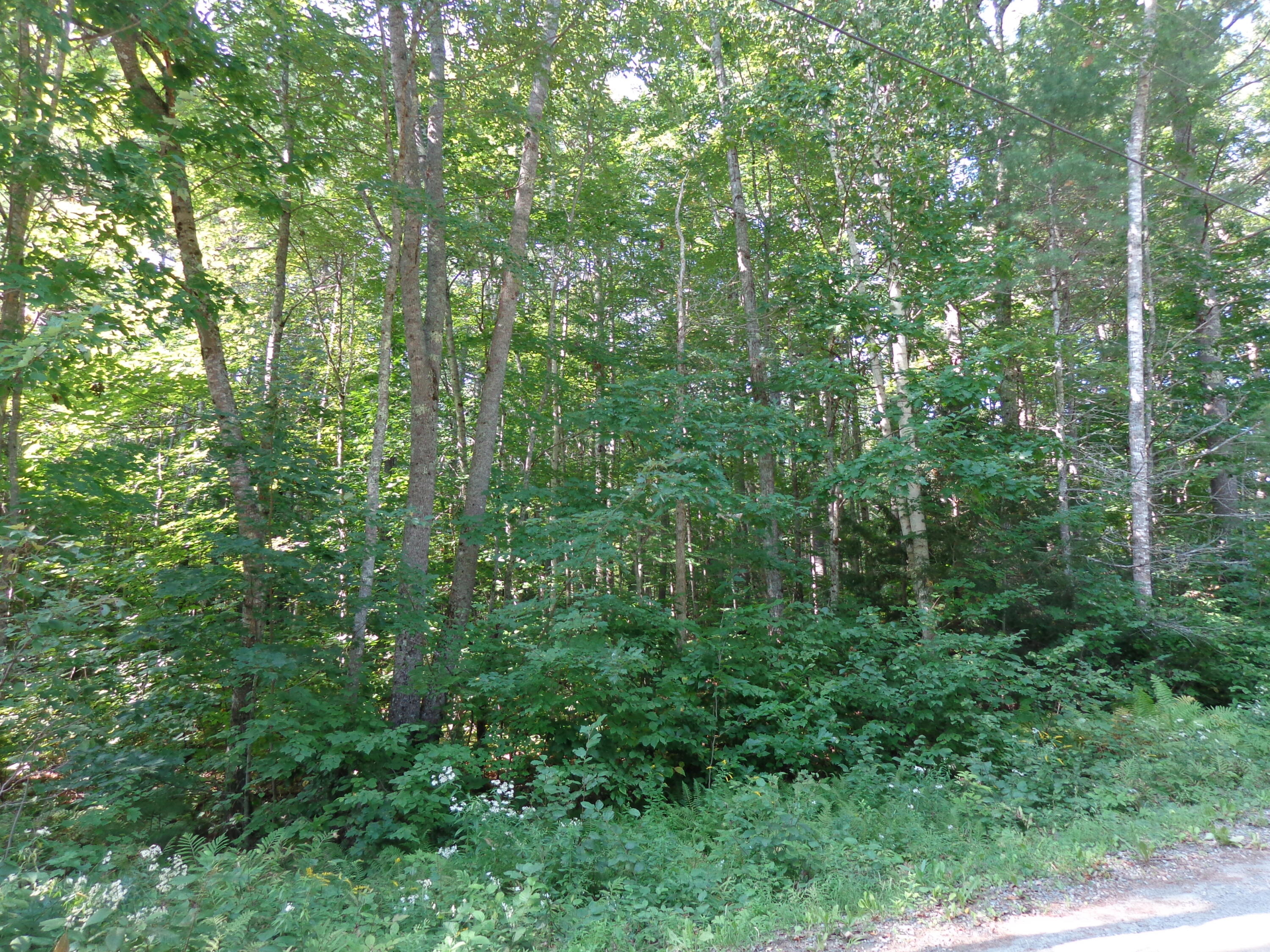 0 Gates Road Jefferson, ME 04348 - Photo 7 of 14 DSC01123