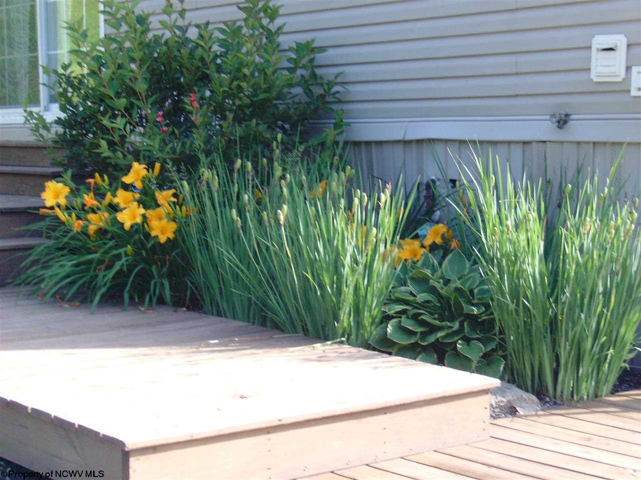 15 Bailey Ridge Road Buckhannon, WV 26201 - Photo 8 of 20 Gallery Image 8