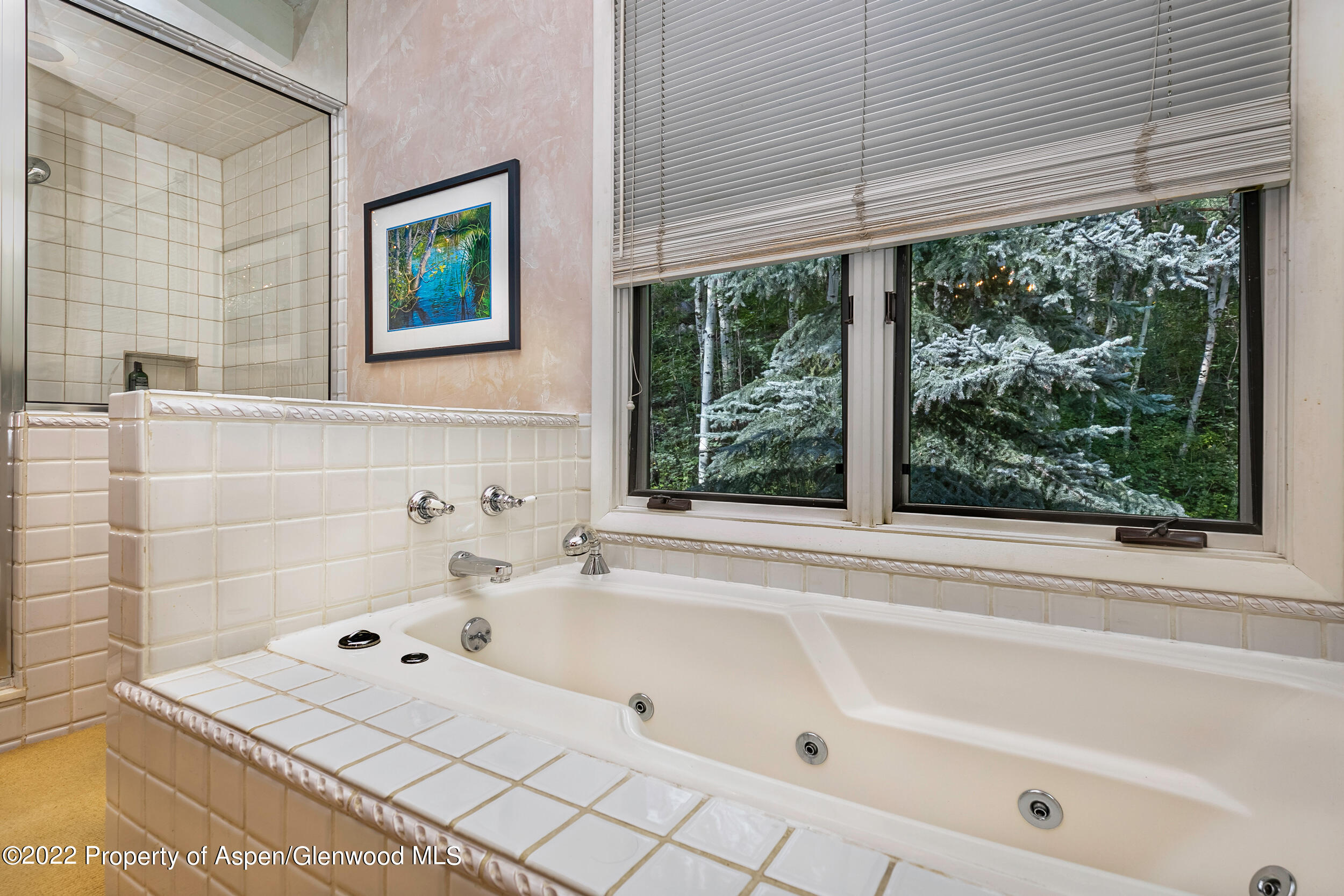 42791 Highway 82 Aspen, CO 81611 - Photo 12 of 19 a bathroom with a bathtub and next to a window