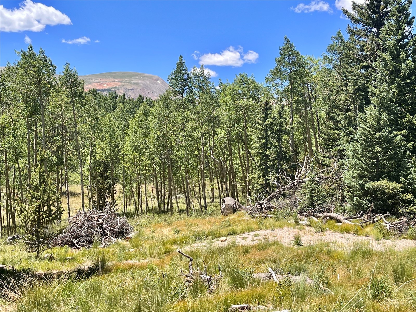 845 Adventure Road Alma, CO 80420 - Photo 20 of 31 Gallery Image 20