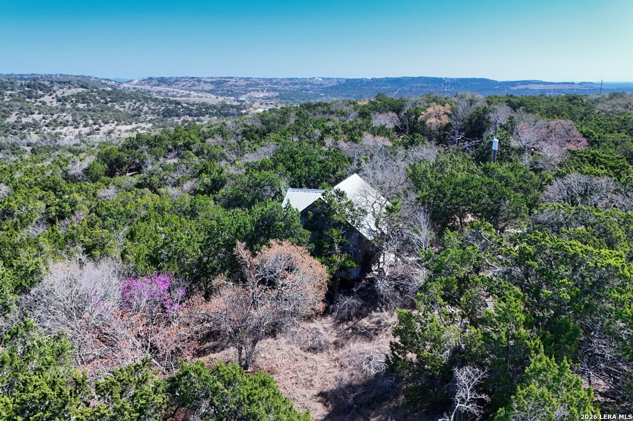 343 East Headwaters Ranch Road Kendalia, TX 78027 - Photo 6 of 24
