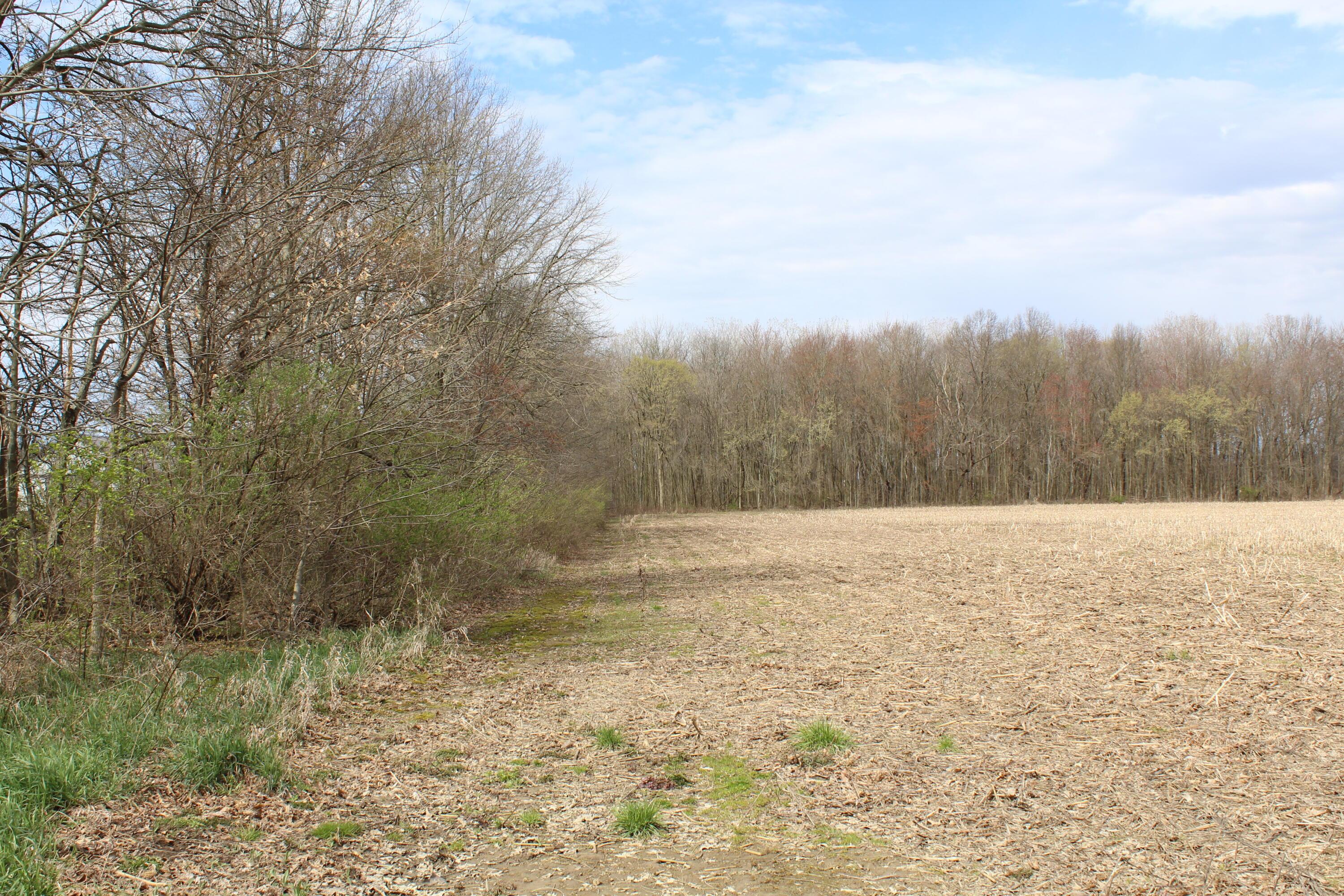 0 Carr Road Ostrander, OH 43061 - Photo 17 of 24 IMG_6652