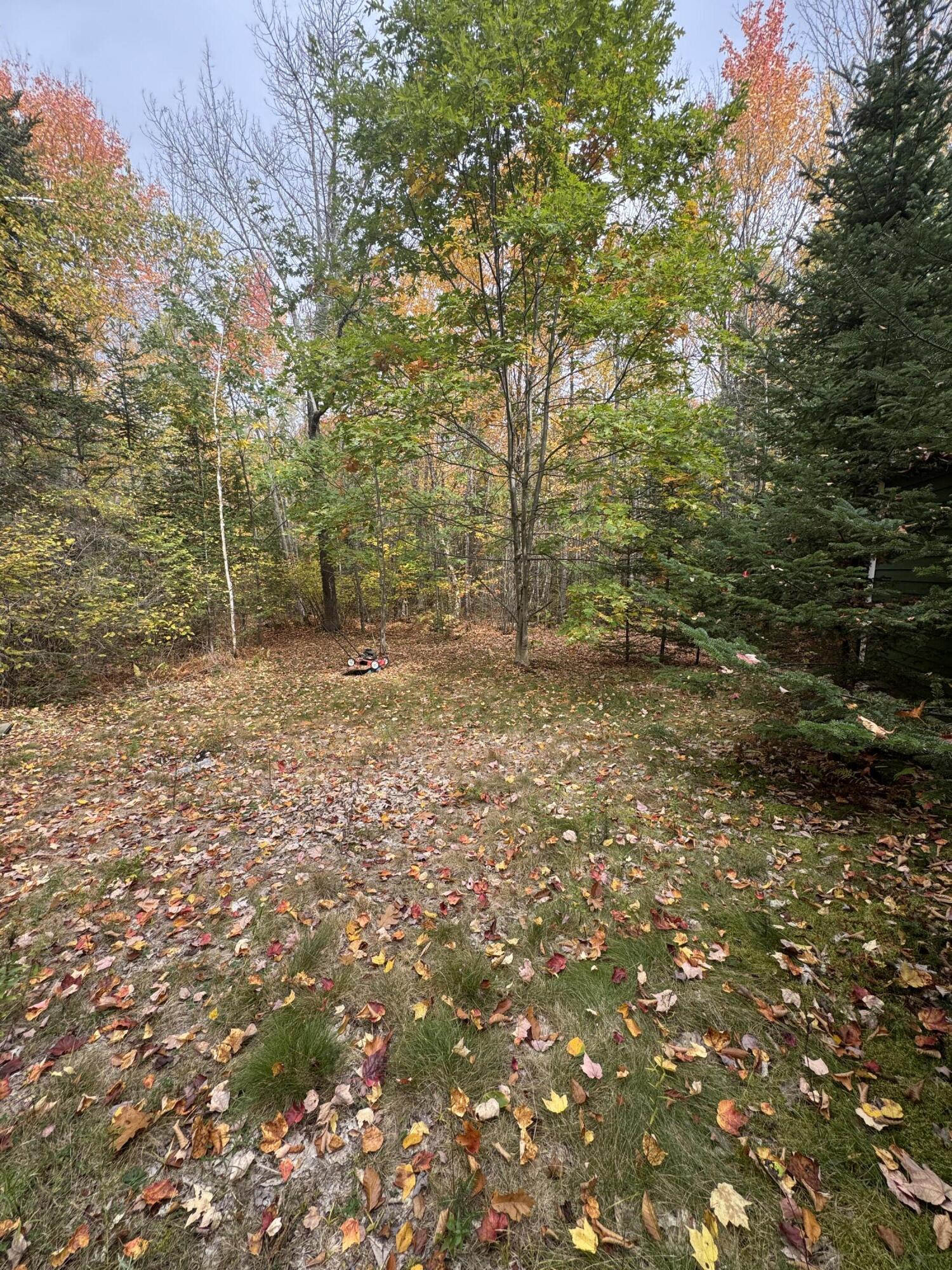 839 Oliver Hill Road Garland, ME 04939 - Photo 7 of 15 IMG_8623