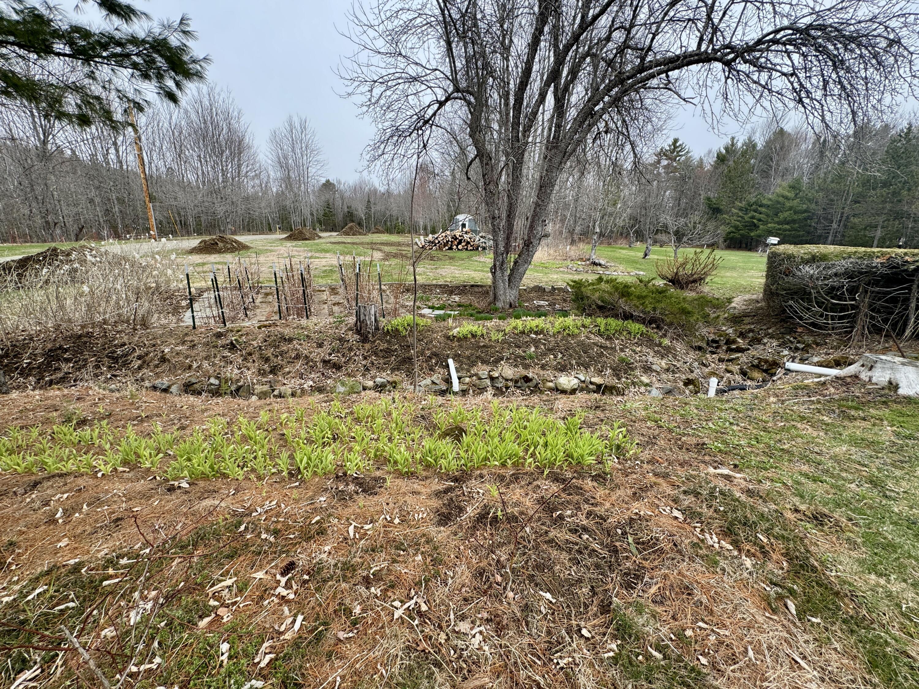 55 Christian Hill Road Charleston, ME 04422 - Photo 44 of 111