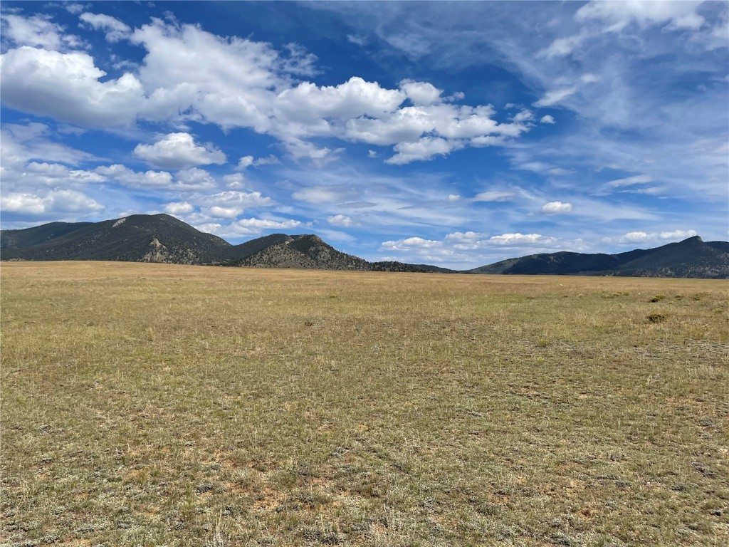 9685 Jackson Road Hartsel, CO 80449 - Photo 2 of 9