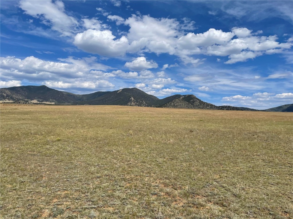 9685 Jackson Road Hartsel, CO 80449 - Photo 3 of 9
