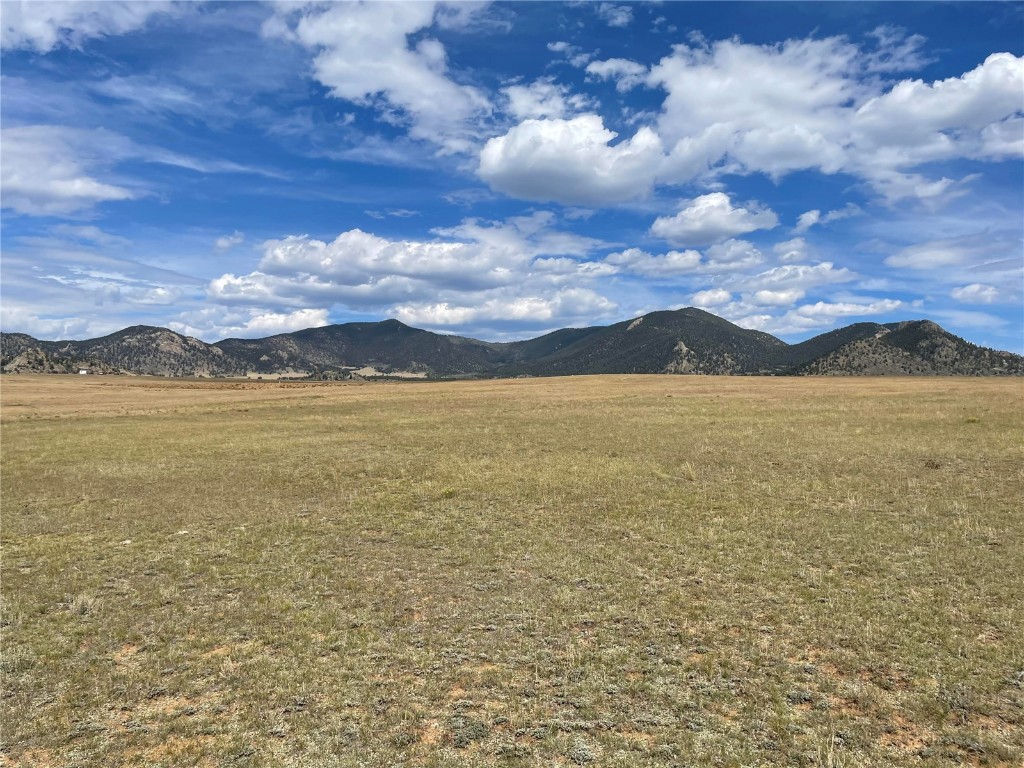 9685 Jackson Road Hartsel, CO 80449 - Photo 4 of 9